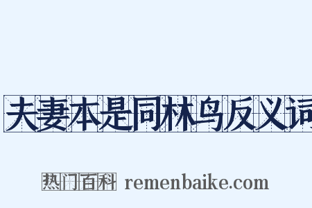 夫妻本是同林鸟反义词是什么意思的图片